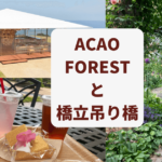 ACAO FORESTと橋立吊り橋