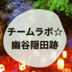 北茨城のチームラボ、幽谷隠田跡